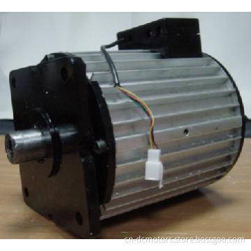 5000W Brushless Motor